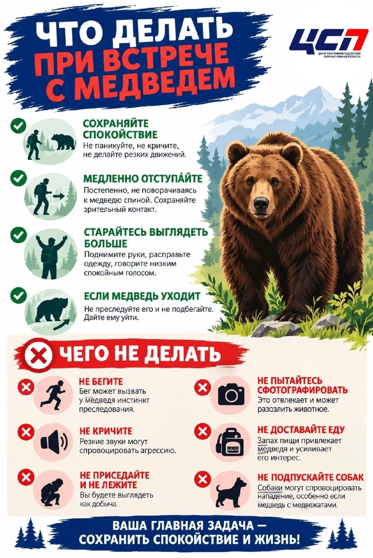 🐻 Хищники выходят к людям: сводка по Кузбассу