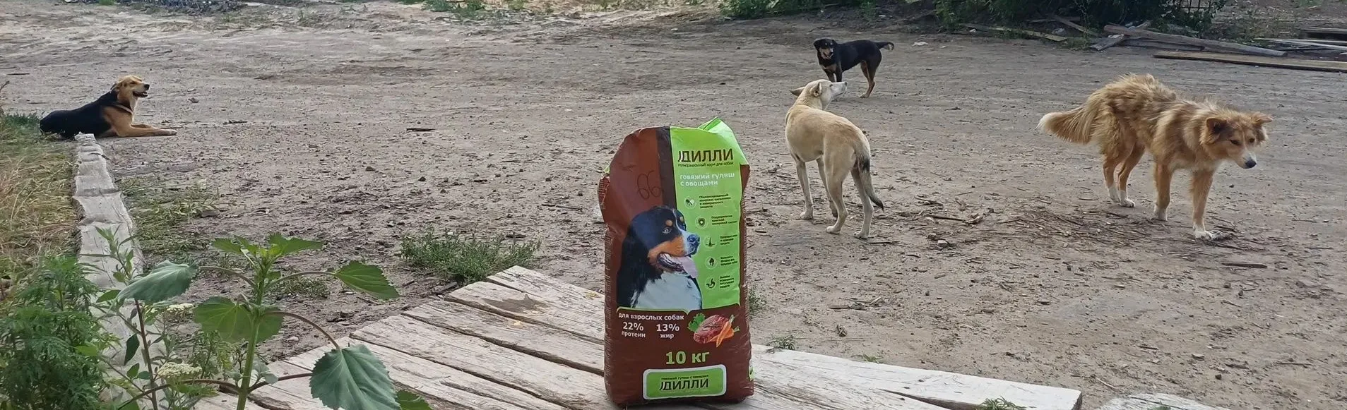 Это не реклама собачьего корма))), это хвастатые друзья, охранники, боевые товарищи реб...