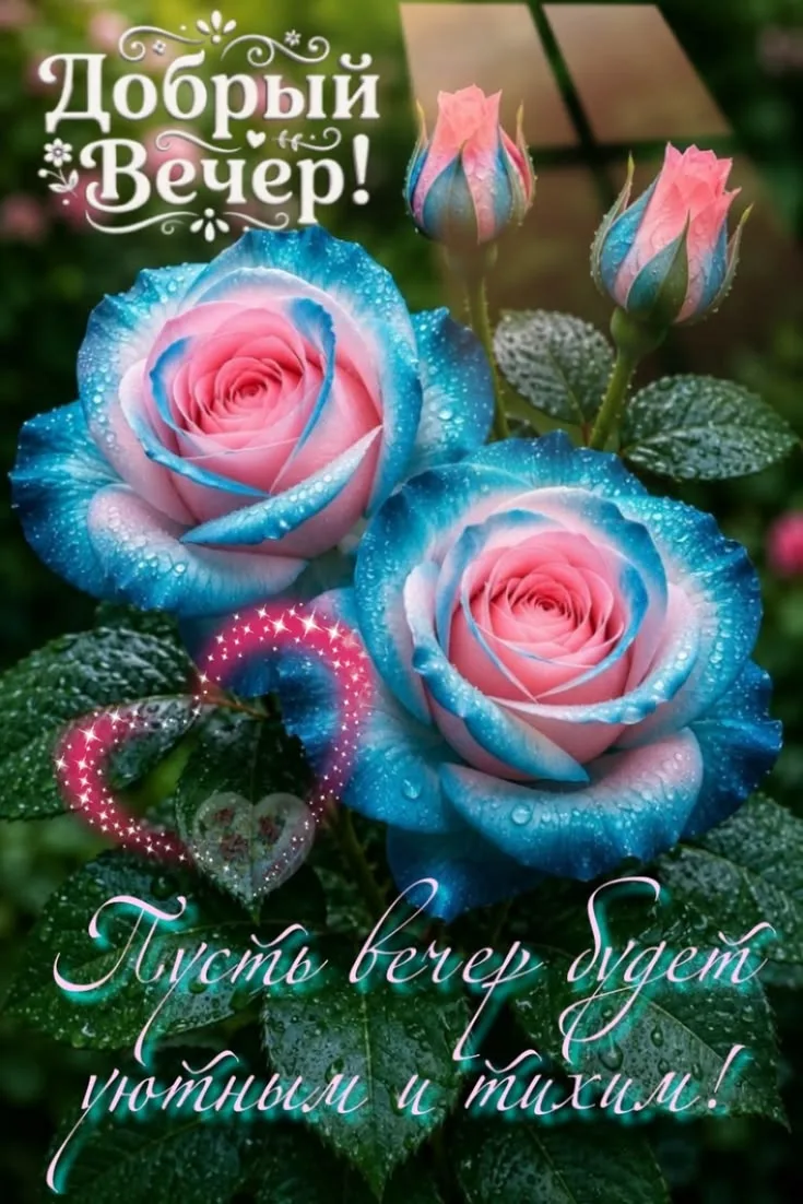 Доброго и уютного вечера!  ✨💐