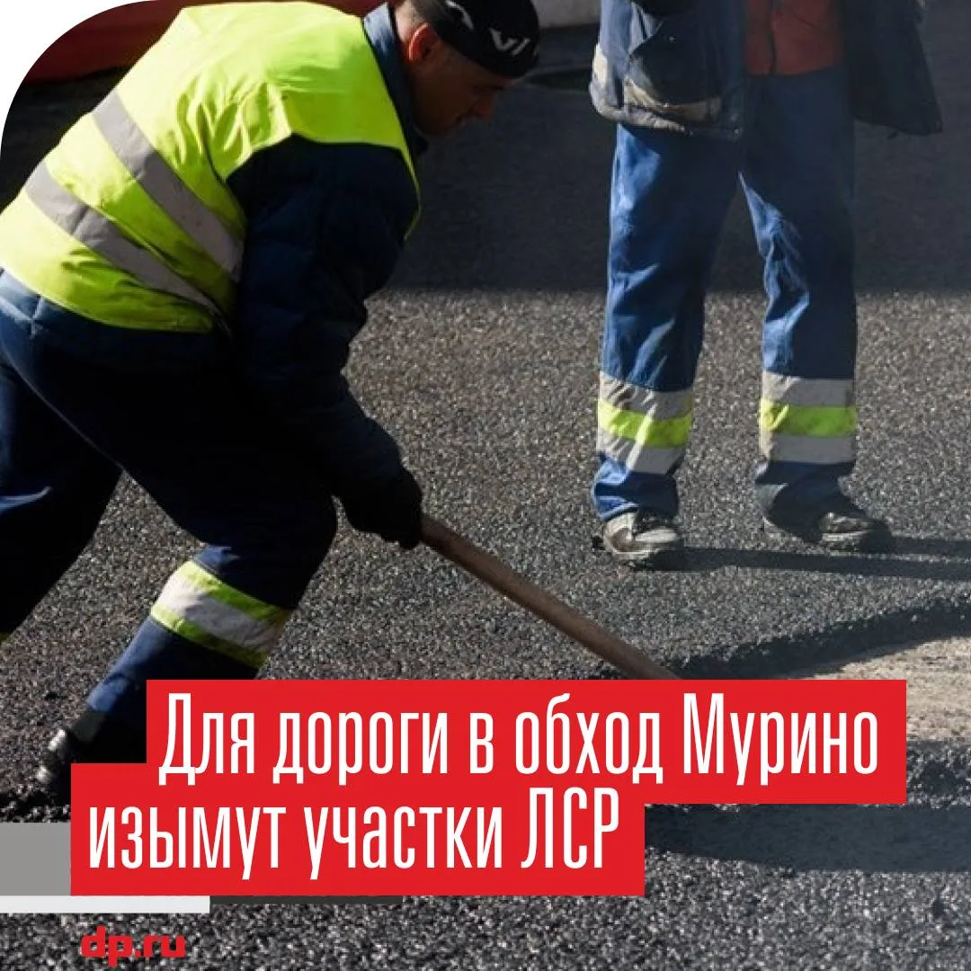 Город изымет два участка ЛСР.
