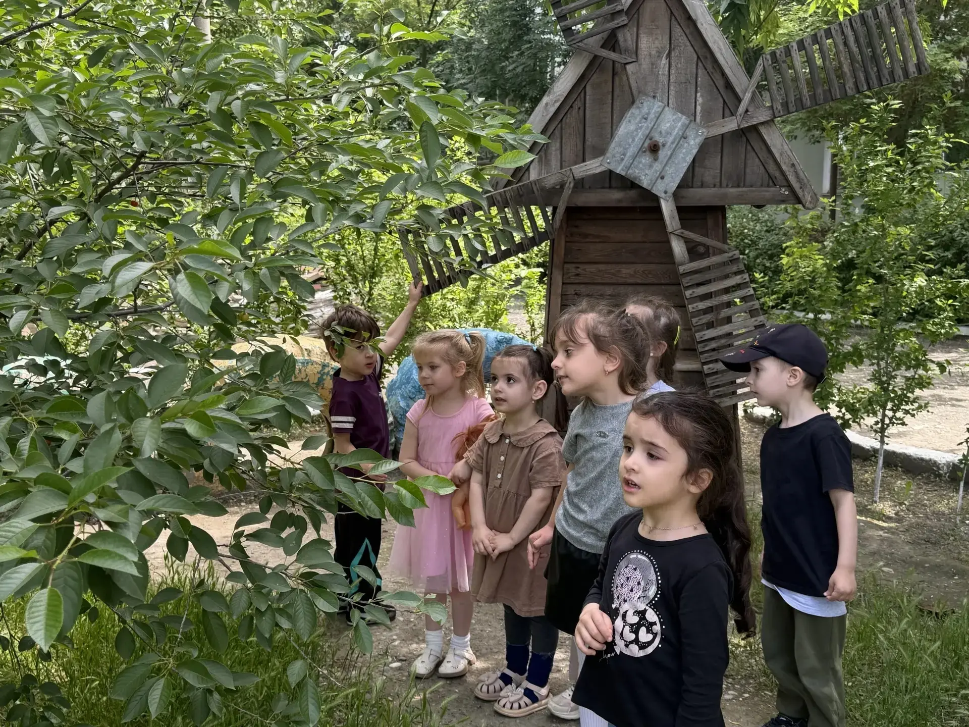 Прогулка.                            Цель:расширять представление детей о лете,учить вы...