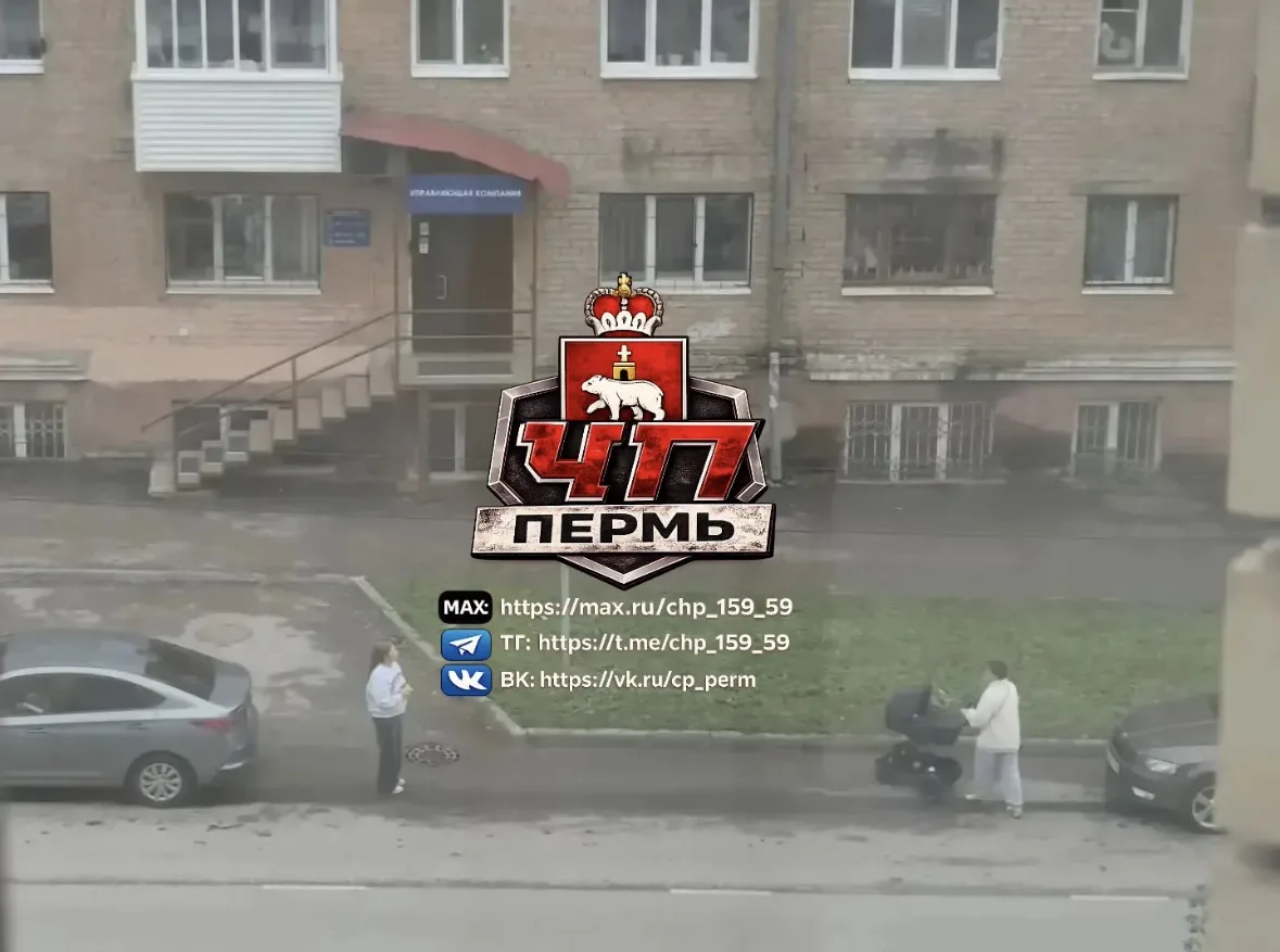 От подписчика