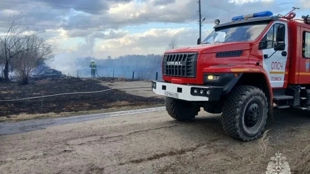 Мазур: 125 пожаров произошло в Томской области за последние 3 суток