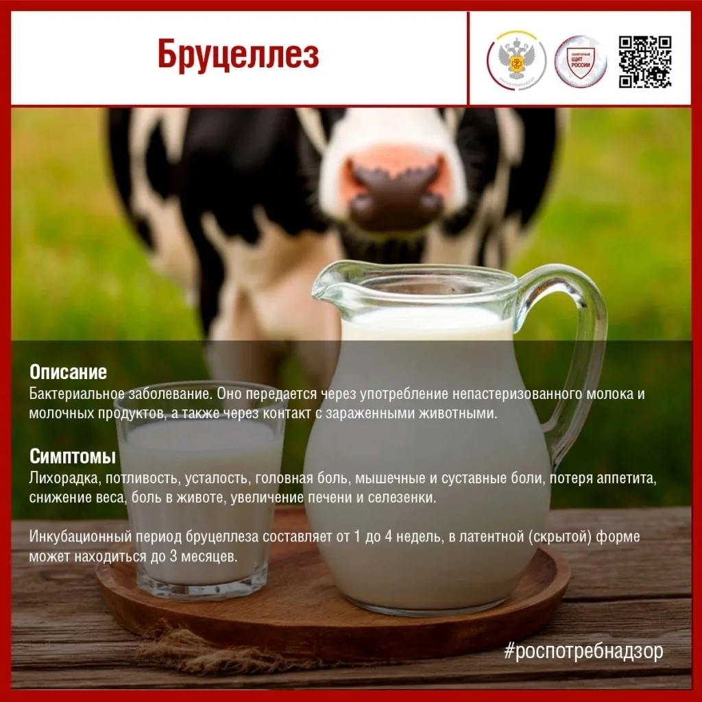 🗣 Восточный филиал ФБУЗ «Центр гигиены и эпидемиологии в г. Санкт-Петербург и Ленинградской области
