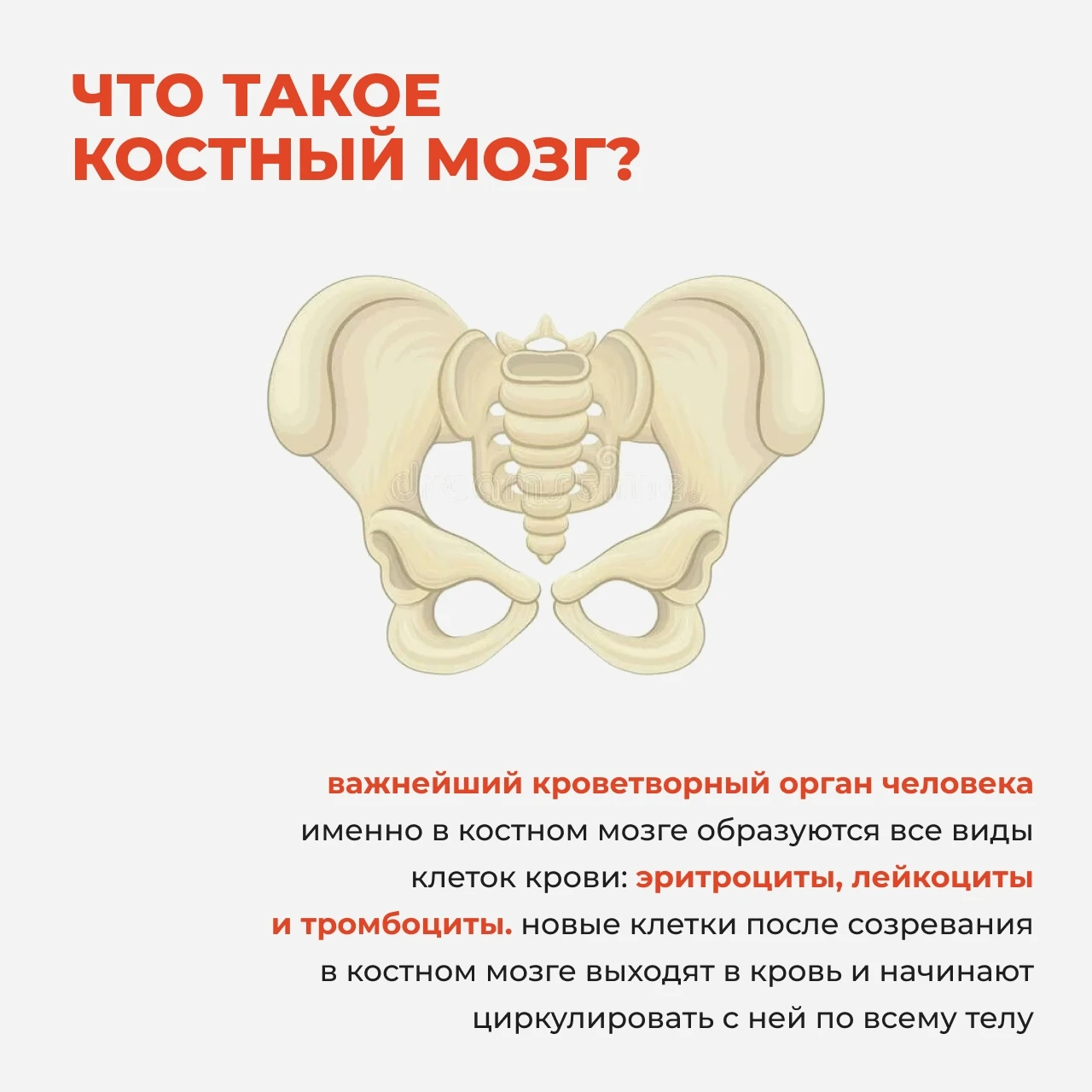 Для пациентов с тяжелыми заболеваниями системы крови единственным шансом на жизнь стано...