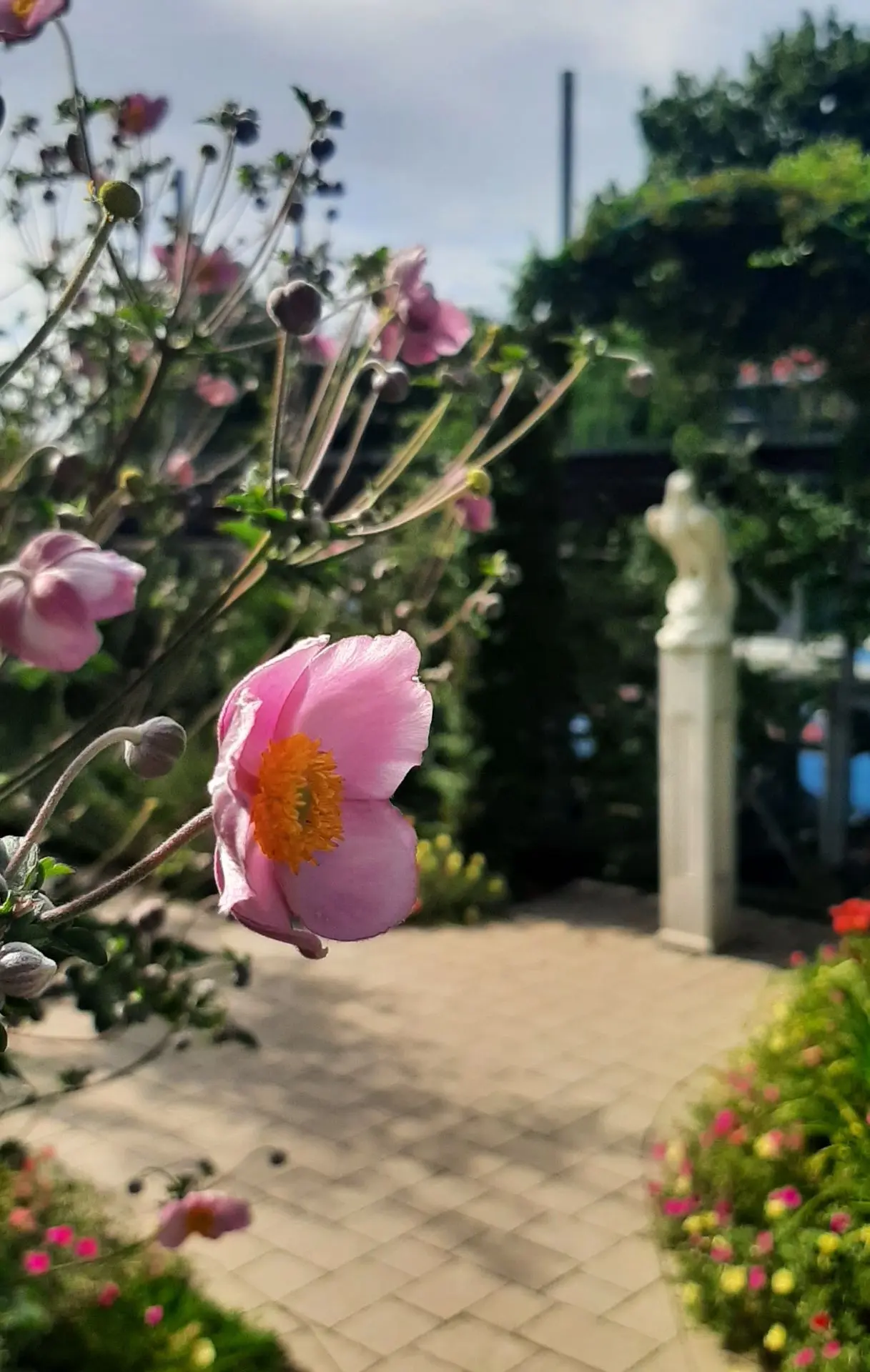 С добрым утром, друзья! ☀️
Океана энергии и моря улыбок. Пусть настроение будет таким же ярким, как 