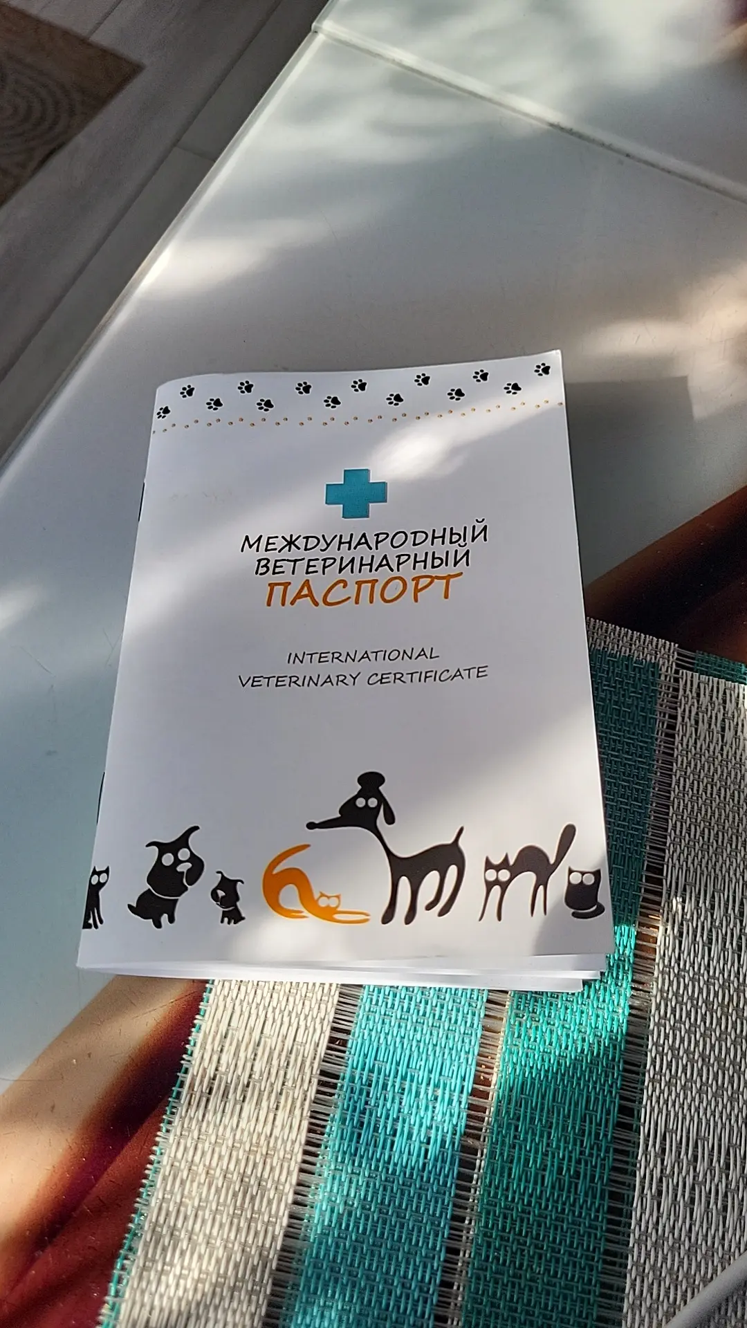 Они все решили меня доканать.  С собакой едем в ветеринарку.  Толи клещ то ли ещё что, ...