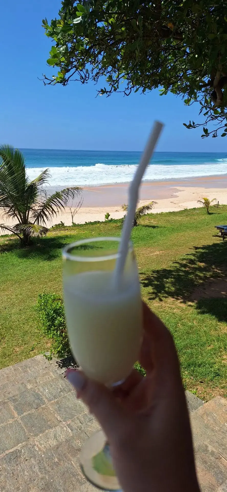 🌴🌴🌴ШРИ-ЛАНКА