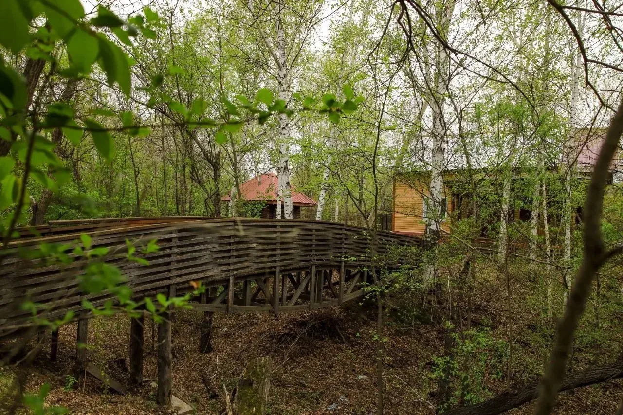 Место, где время будто останавливается  📍 Такая красота сейчас на базе отдыха у Кучеровых в селе Кра