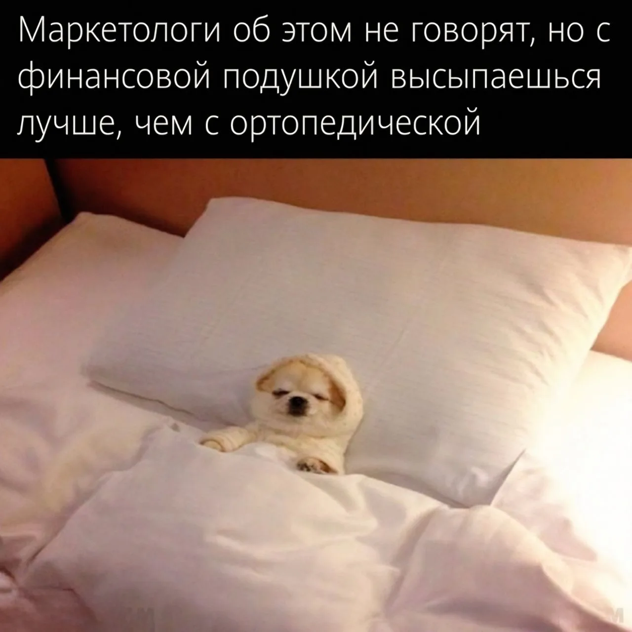 ✨ Безмятежных снов!