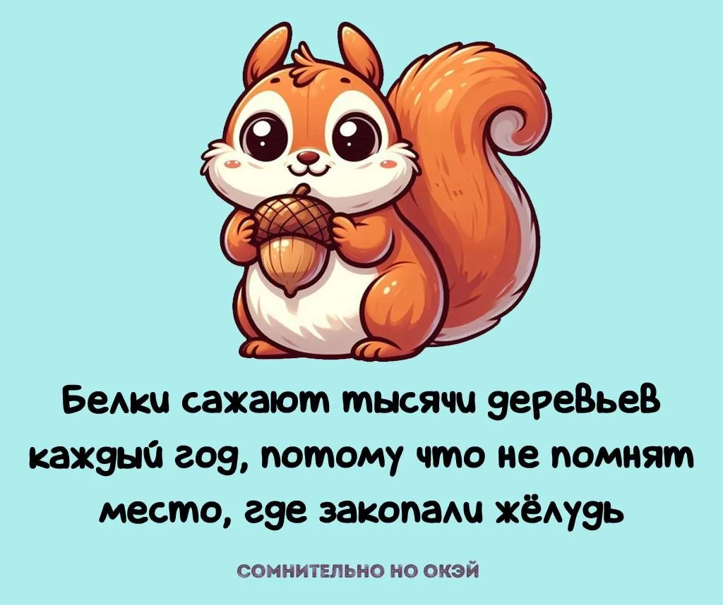 Признавайтесь, знали?
