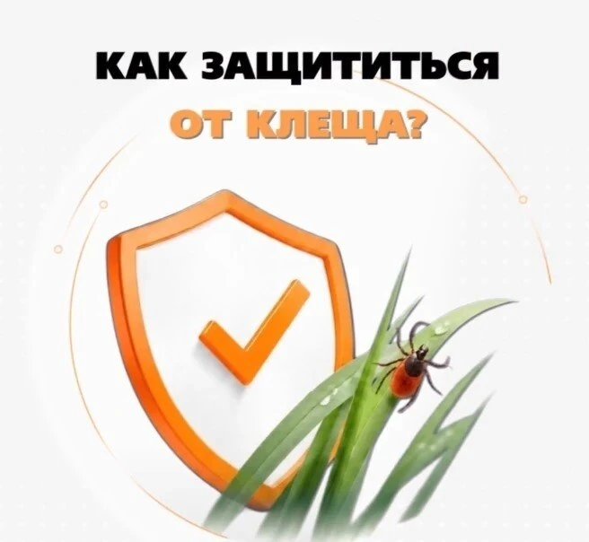 ☝️В Курганской области продолжается активность клещей – переносчиков опасных инфекций

Врачи напомин
