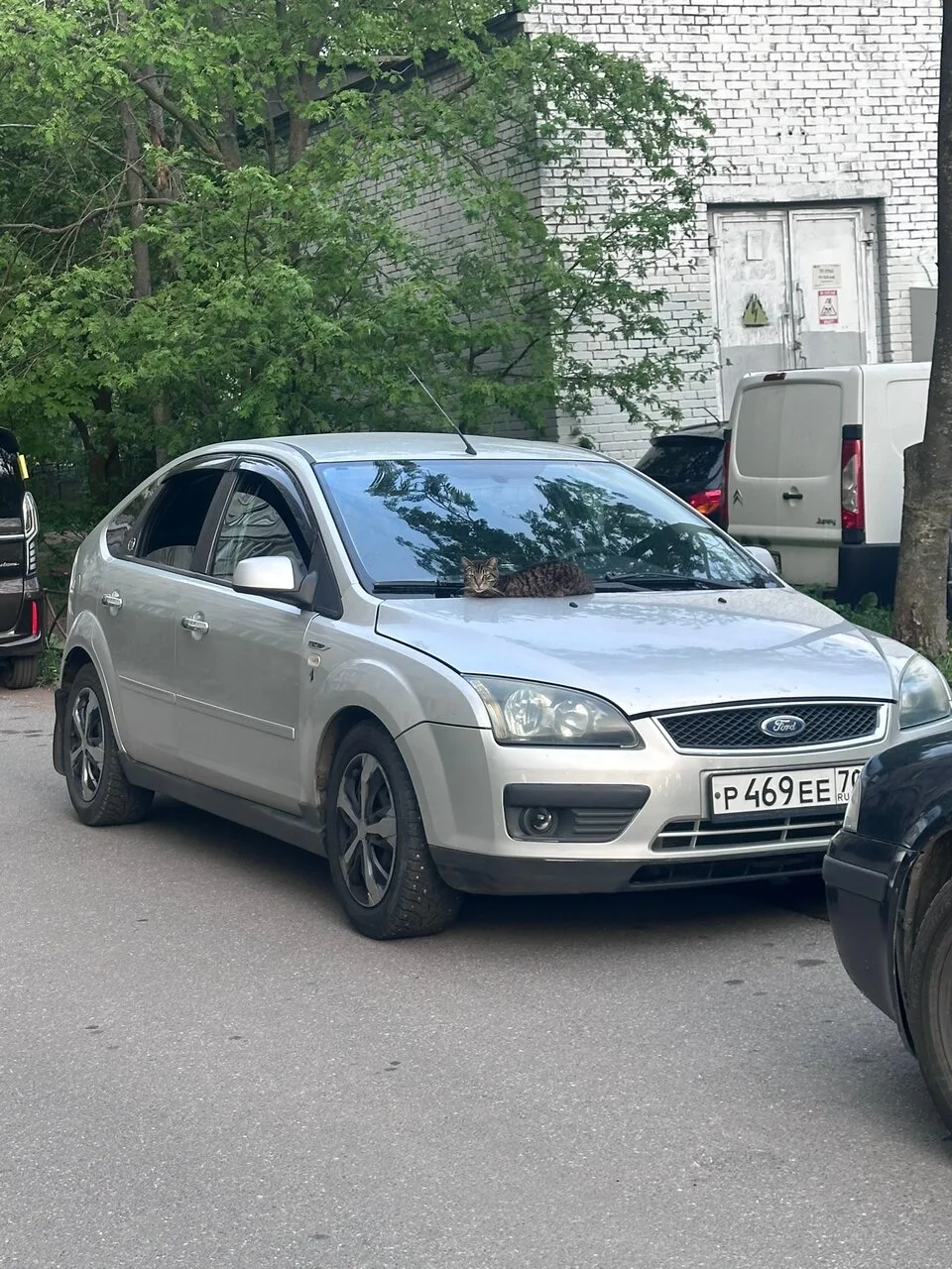 ✅Ford Focus 2 2006 года
✅На полном ходу
✅СТС птс дкп
✅Подвеска мячик перебиралось не давно
Новые при