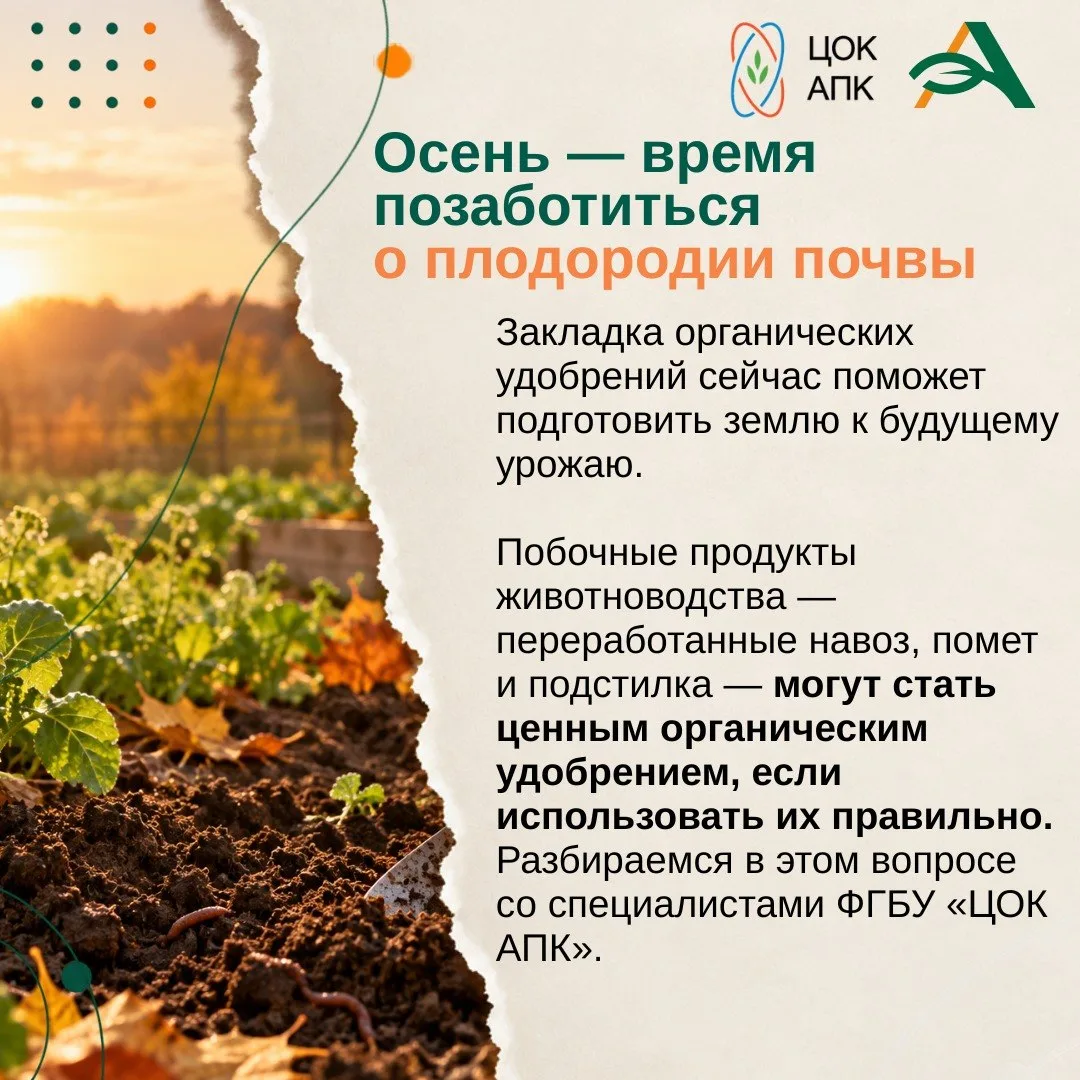🍁 Осень — это не только завершение сезона, но и важный этап подготовки почвы к будущем...