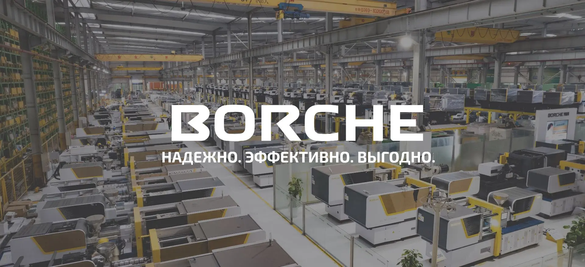 Добро пожаловать в сообщество БОРЧЕ!