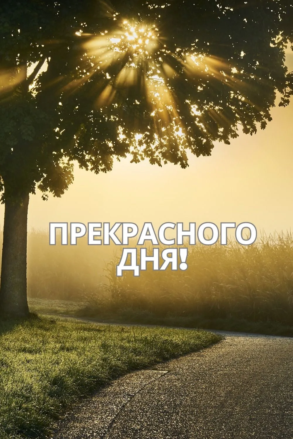 ❤️ Мамины открытки