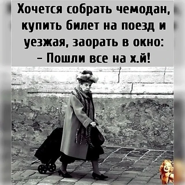🤣Юмор в картинках