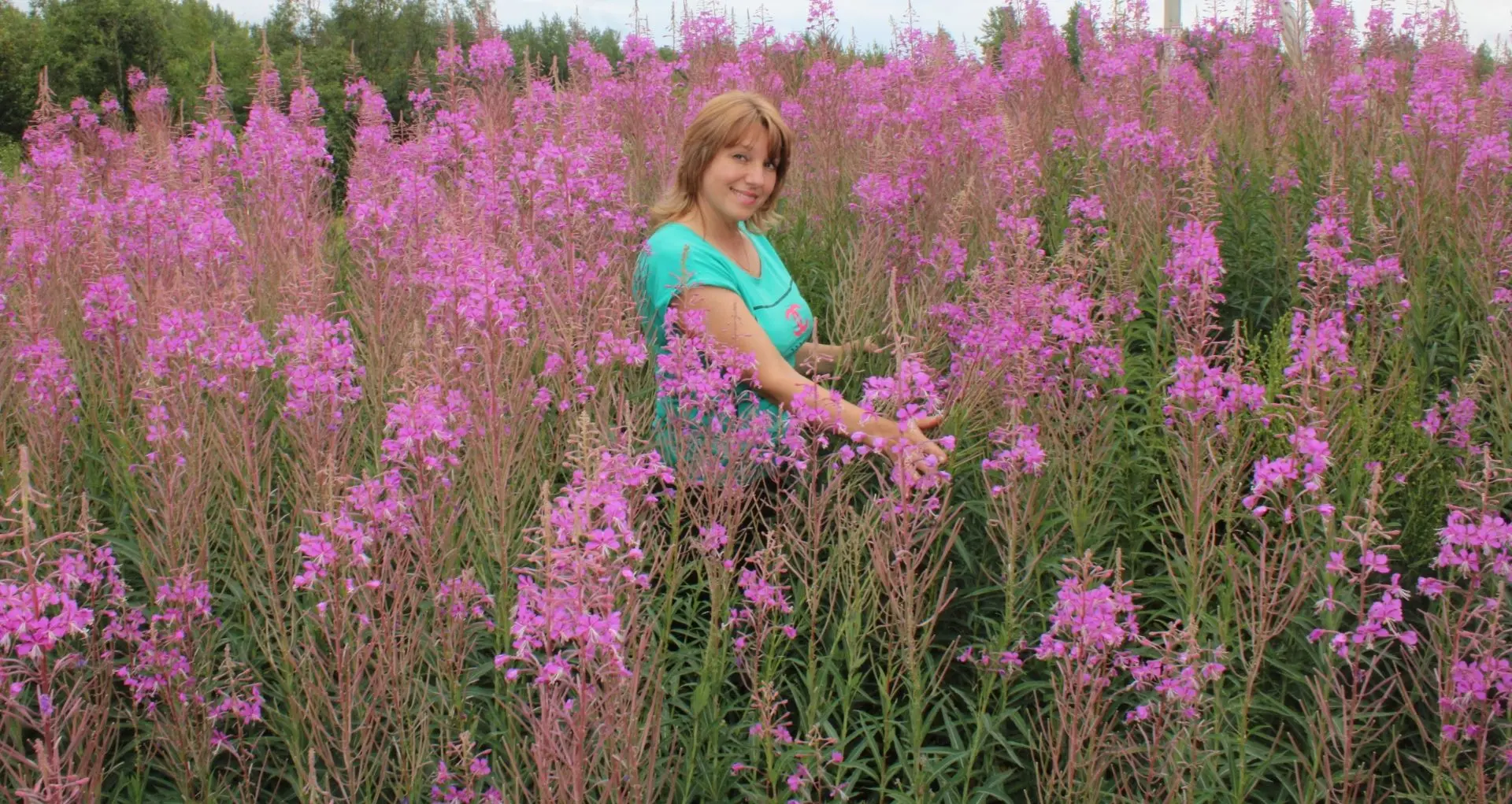 🌸 Цветное лето в "Динамике" 🌸