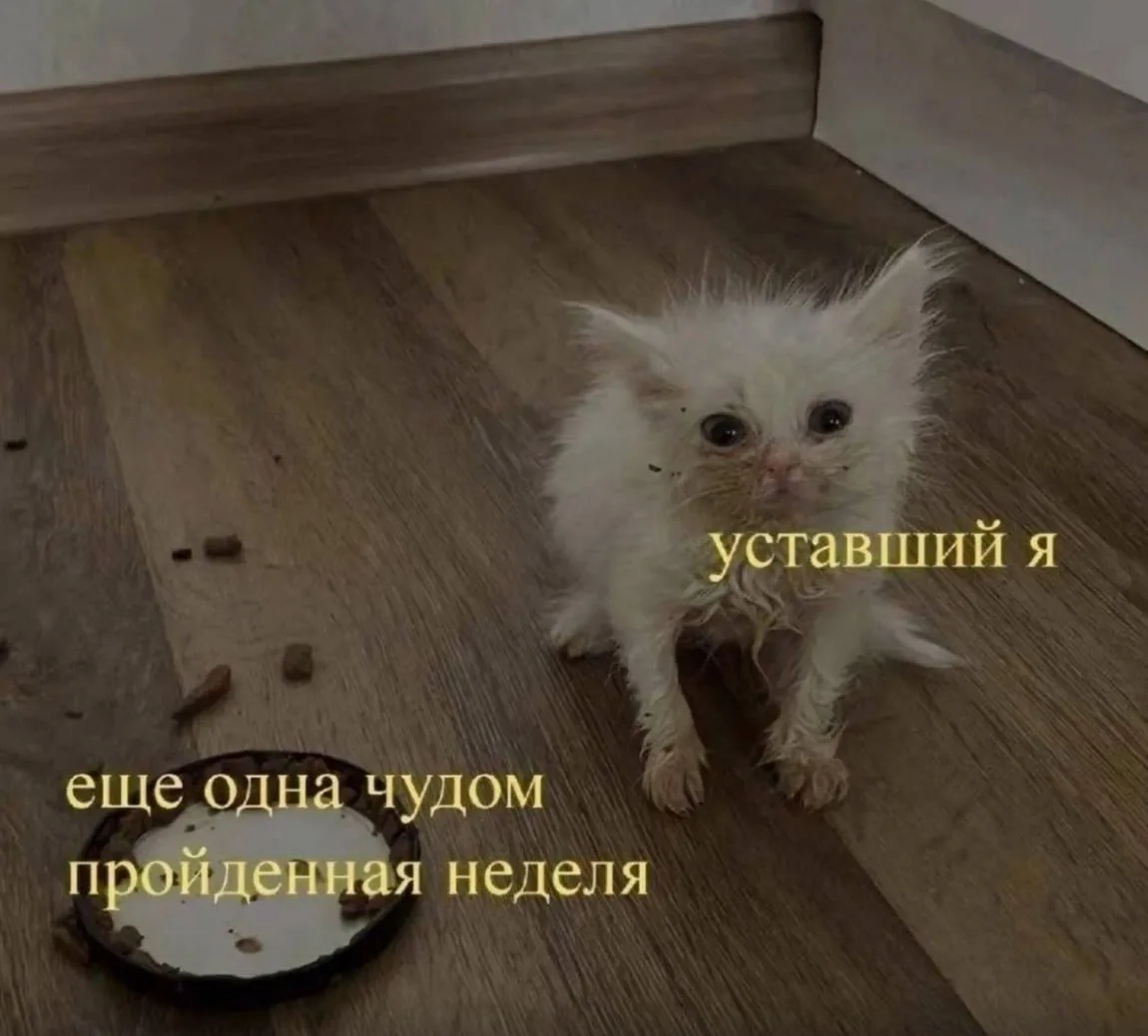 Она пришла, родная пятничка 🥹
