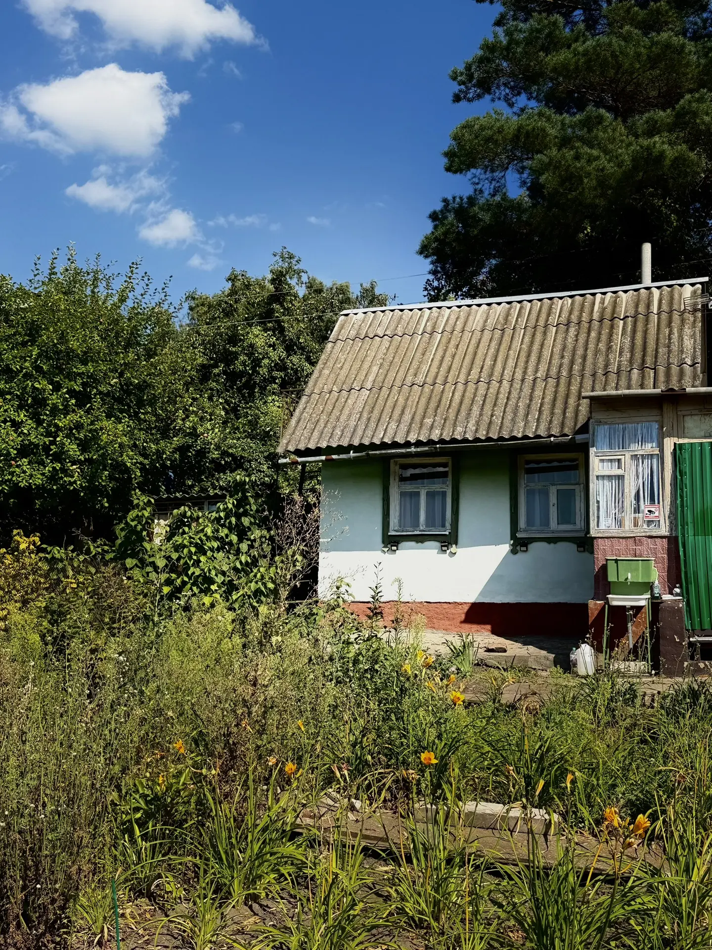 Простоквашино 🫶