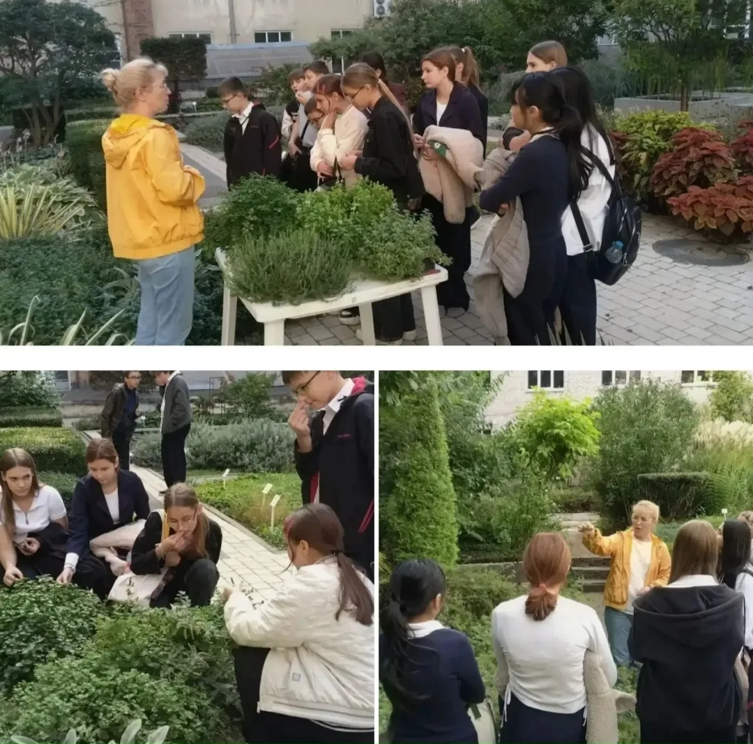 🌿Вчера ботанический сад посетили учащиеся 5-7 классов МОУ СШ 15 Советского района Волг...