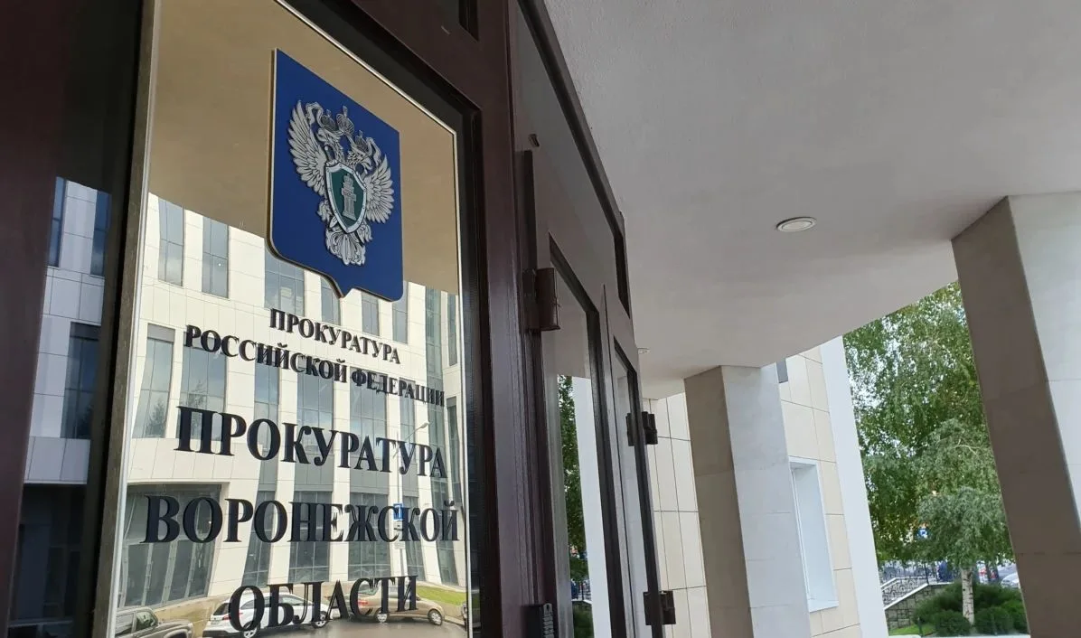 Воронежцам рассказали, как вербовщики вовлекают подростков в совершение преступлений