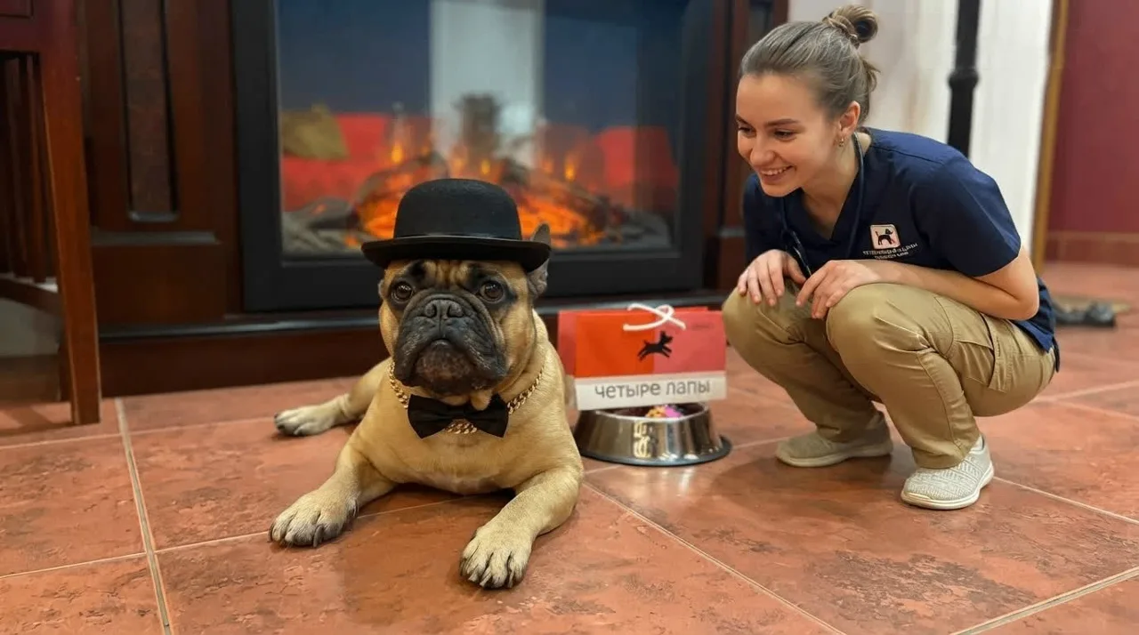 🐶🎉 С Днём ветеринарного работника! 🎉🐶