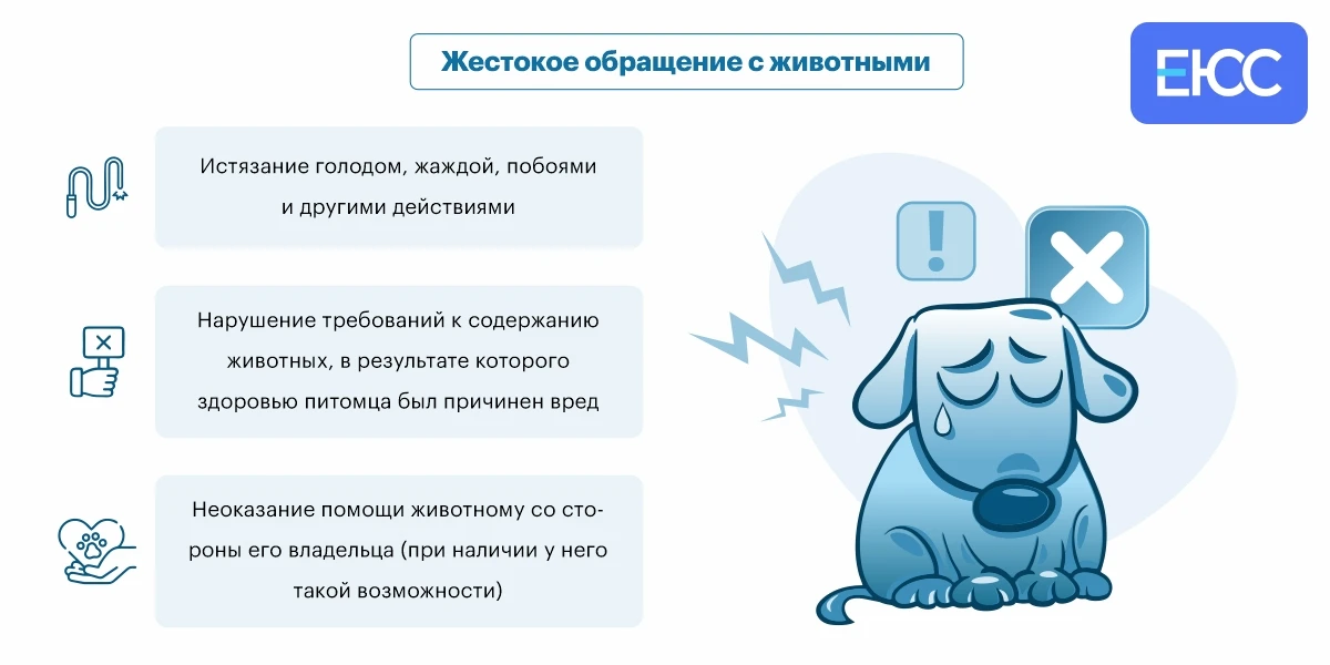 Трактовка статьи
Согласно ст. 245 УК РФ
, жестокое обращение с животными на практике может иметь раз