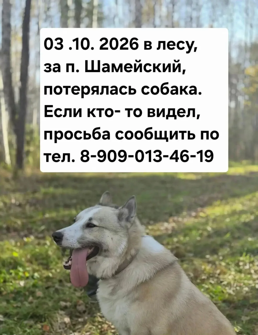 Добрый вечер. Можно обубликовать если есть возможность. Спасибо.