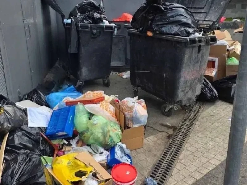 🧹 В Лефортово жители жалуются на неубранную территорию в парке «Зелёная река»