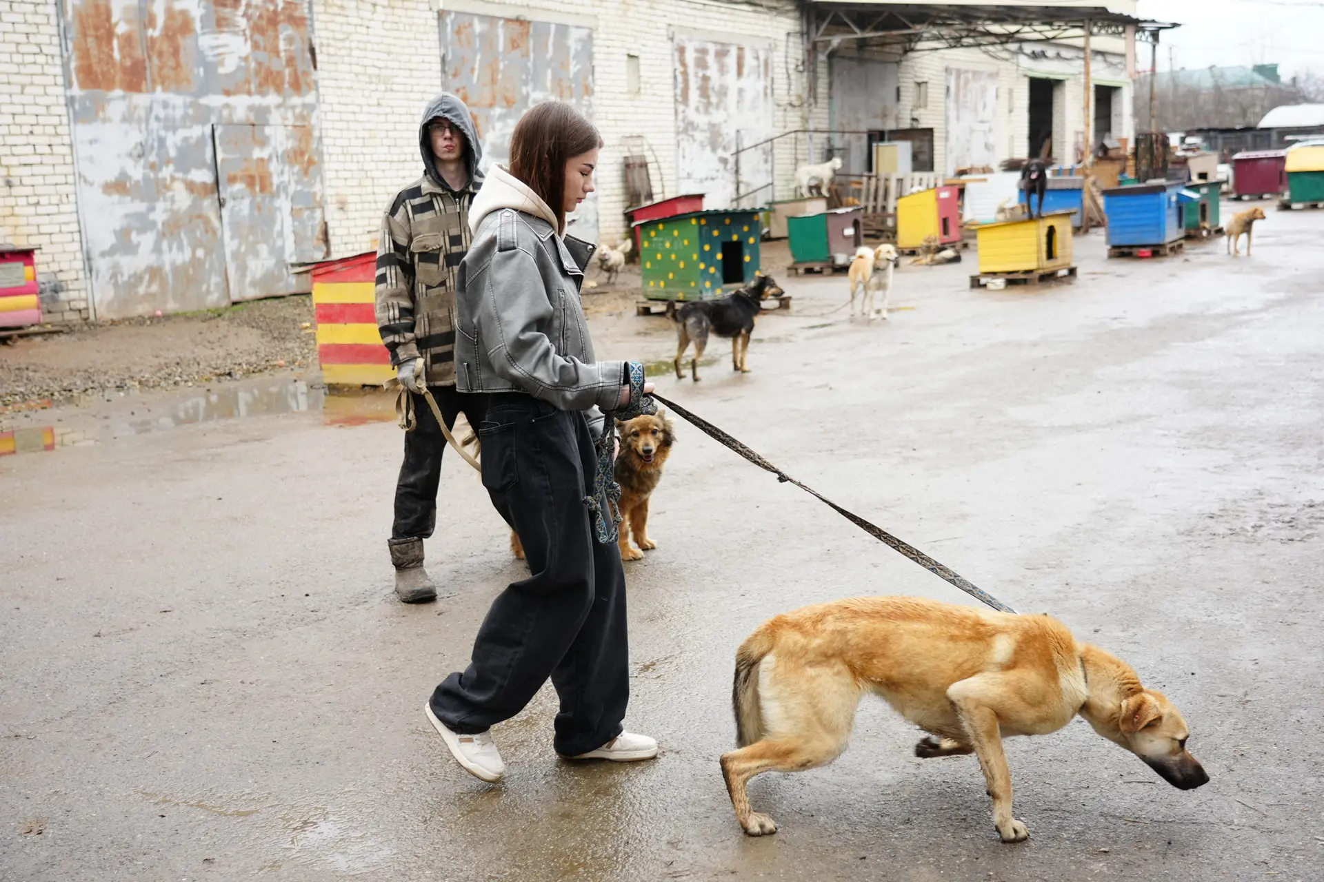 Ставропольский филиал МПГУ: когда инициативы объединяют 🐕🐈  Первичное отделение Движения Первых Став