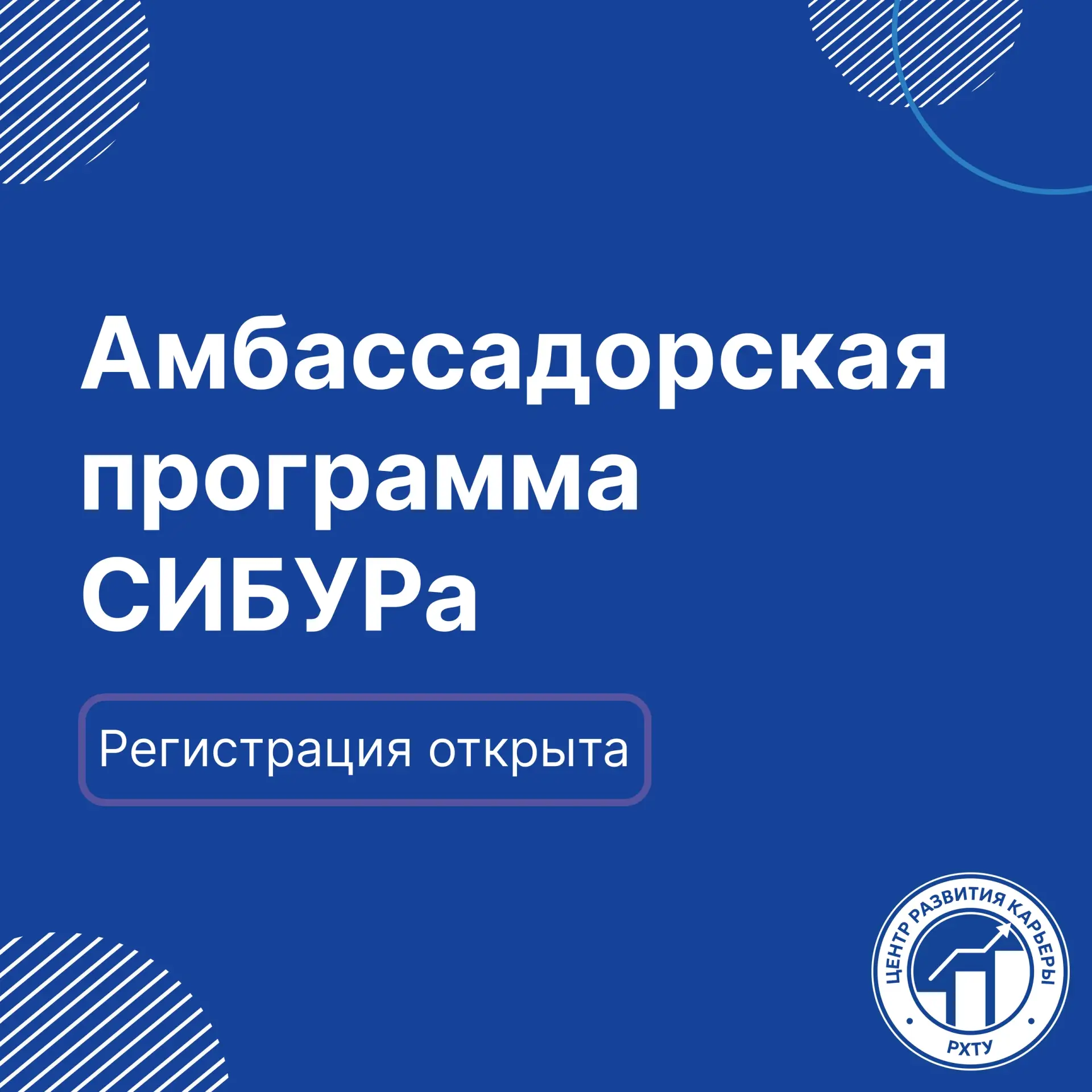 🤩 Станьте лицом СИБУРа в своём университете и получайте за это стипендию!

Амбассадоры СИБУРа — это