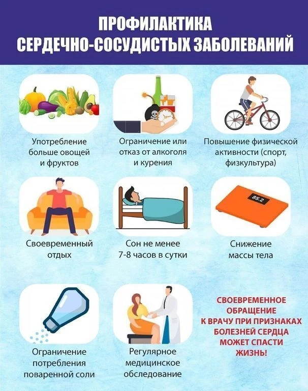 Всем известно, что ❤️сердце является важнейшим из органов человеческого организма, при ...