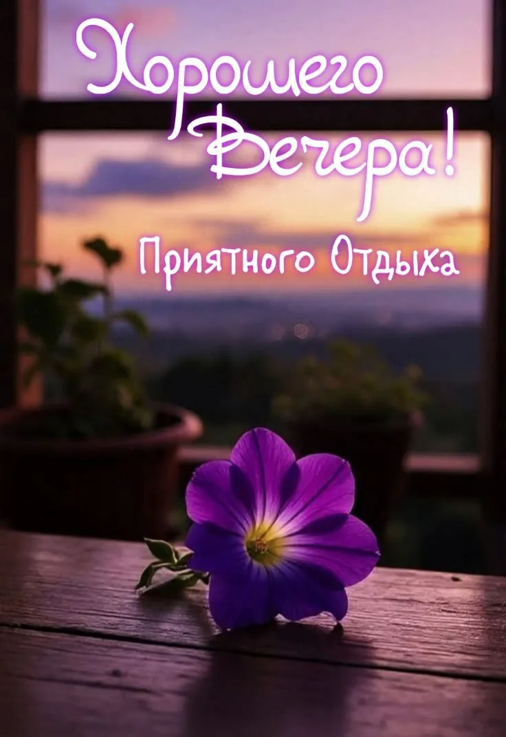 Подпишись 👇