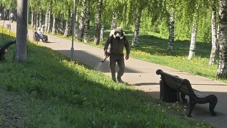 В Кирове от клещей обрабатывают бульвары и придорожные зеленые зоны.