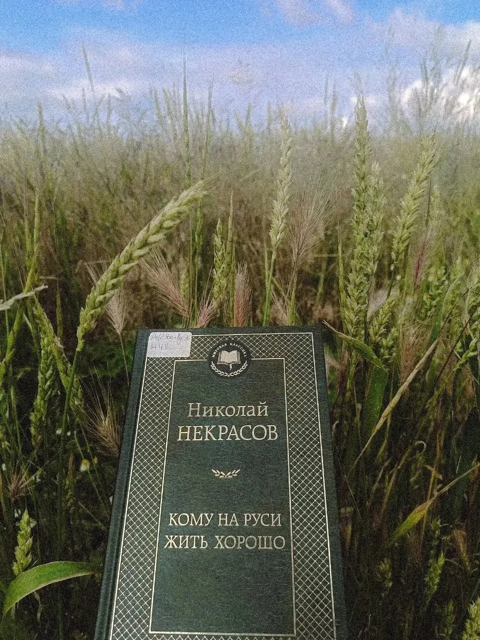 📚 В преддверии Дня России предлагаем вновь обратиться к классической литературе и пере...