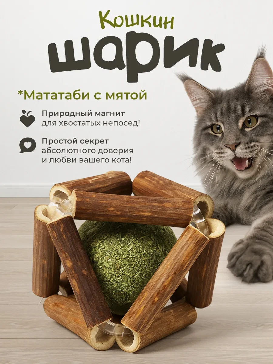 ⚡️ Игрушка для кошек мататаби с мятой 2в1, DPzoo