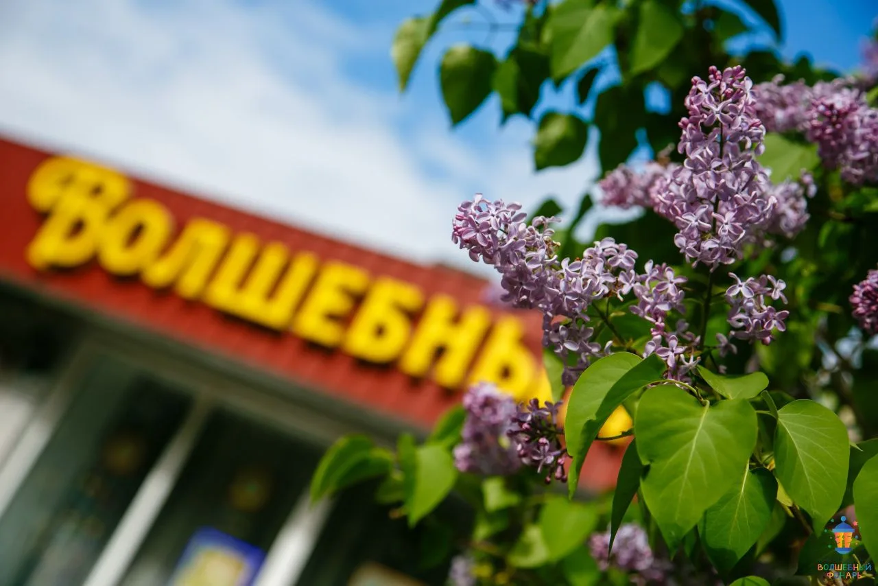 Волшебных снов ✨