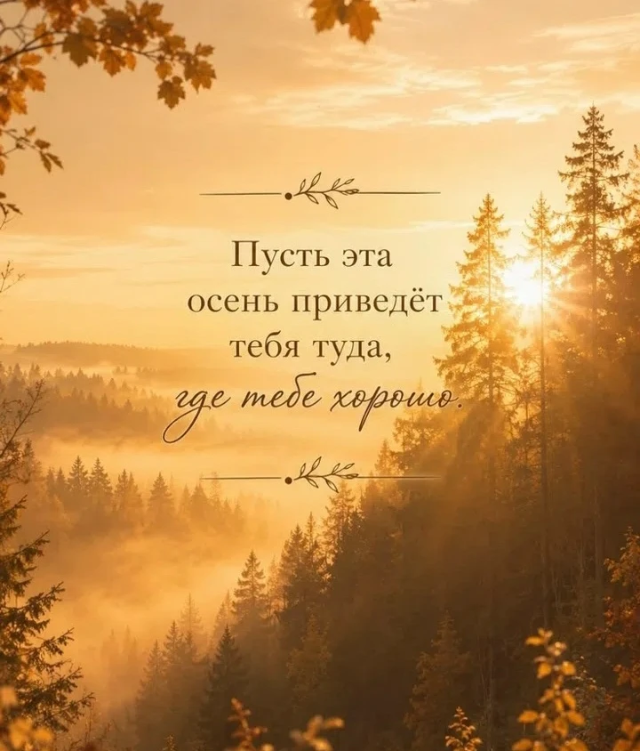 🍃✨🕊✨🍃 ВСЕЛЕННАЯ ДАРИТ МНЕ МНОЖЕСТВО НОВЫХ,