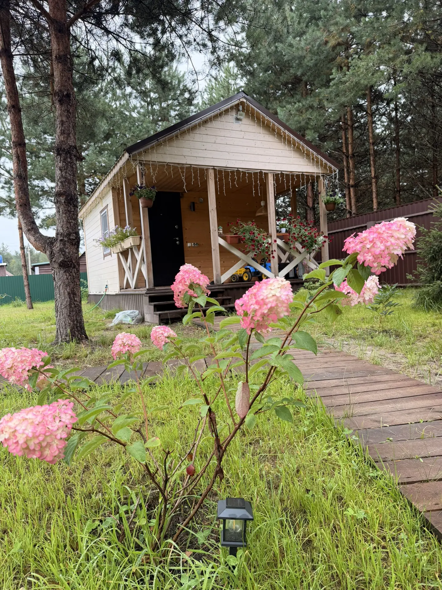 Увидимся в следующем году как говорится ….