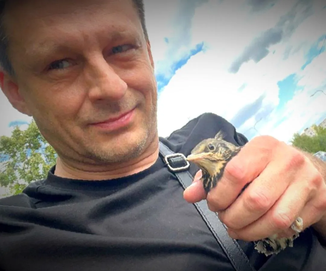Мир полон чудес, и наши пернатые друзья – одно из них 🐦. Наблюдение за птенцами напоми...