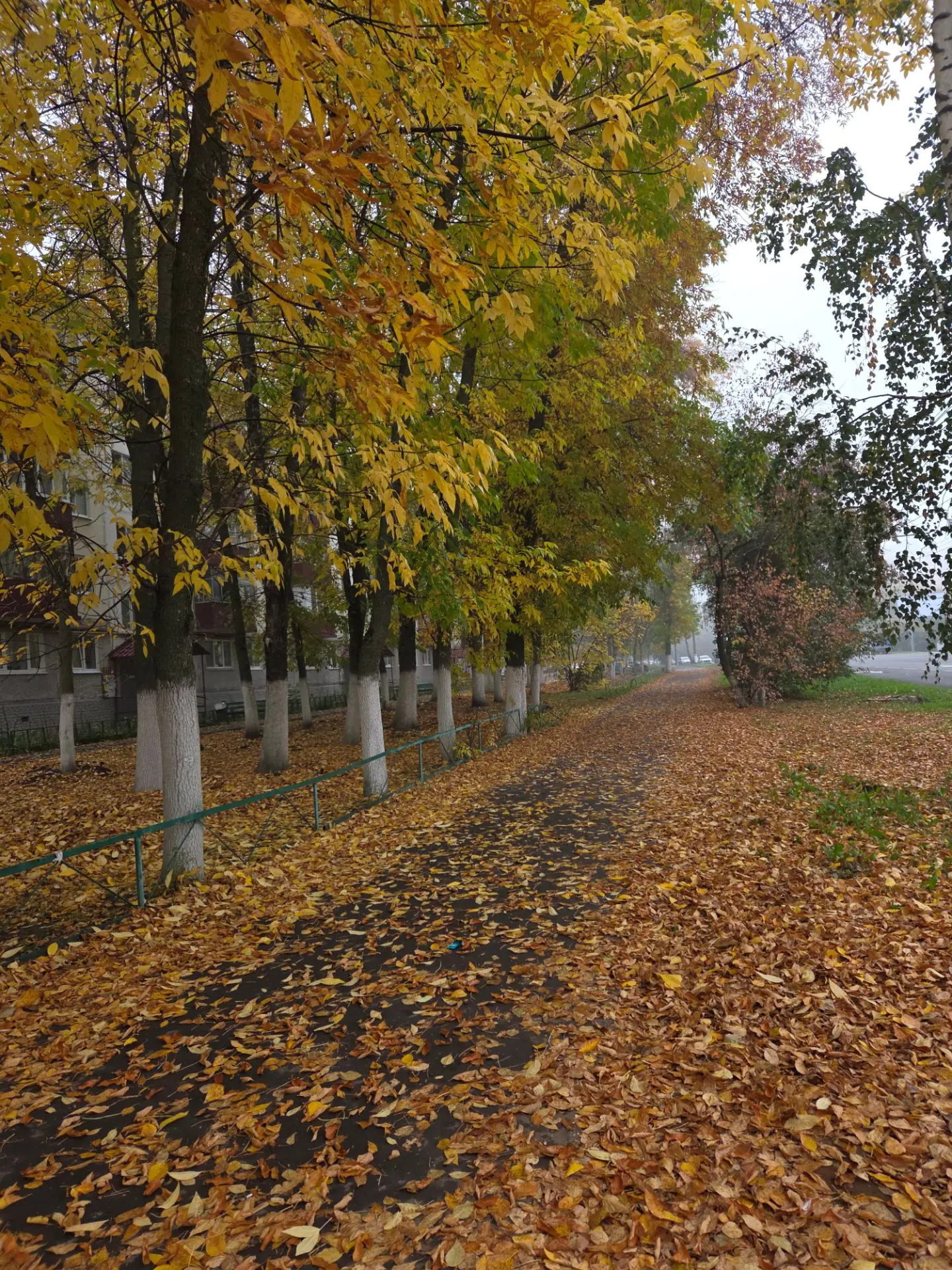 Од чи☀️Од кить🚶‍♀️