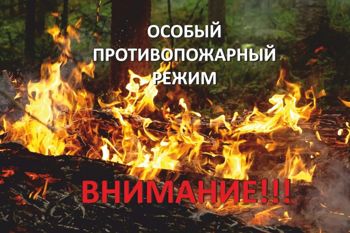 ‼️‼️‼️ Напоминаем, что на территории ЛНР действует особый противопожарный режим, которы...