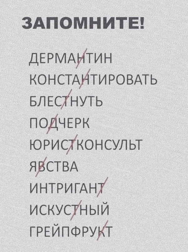📖Grammar Nation