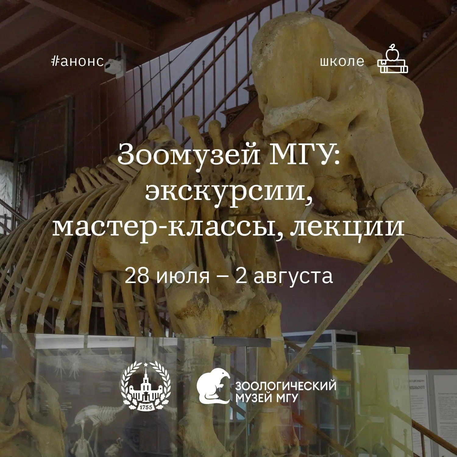 Зоомузей МГУ: афиша на неделю
#мгу_школе

🗓30 июля, четверг

15:00 – экскурсия «Редкие и охраняемые