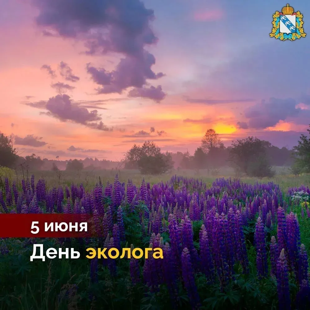 🌳 5 июня отмечается День эколога. От души поздравляем работников и ветеранов экологиче...