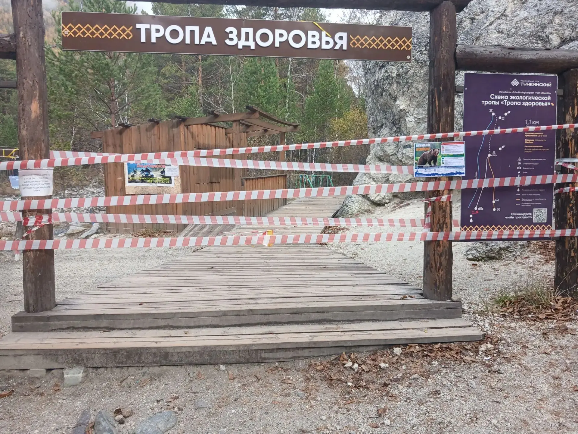 Туристов настоятельно просят не ходить на тропы здоровья из-за медведей