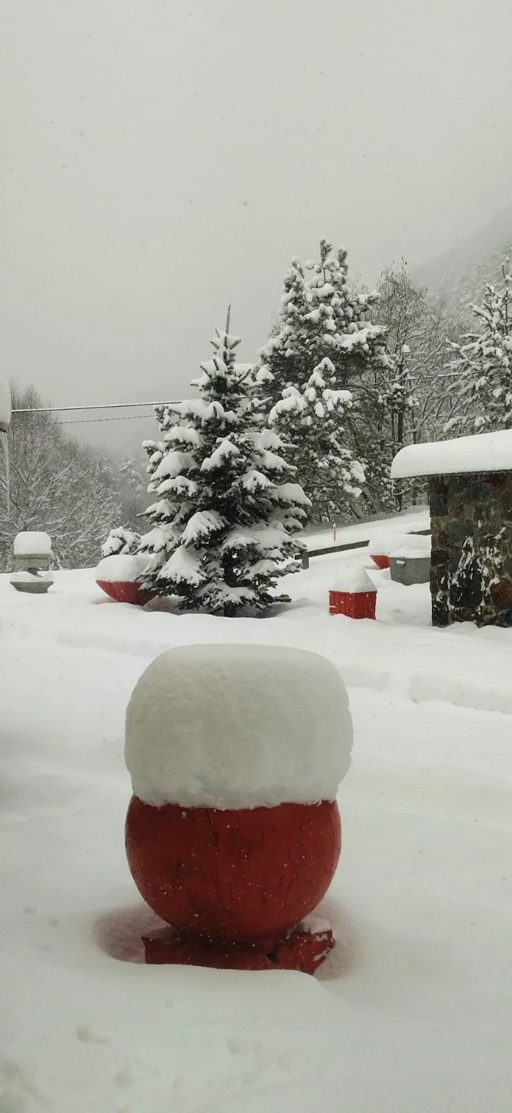 Эти деньки на базе окутаны апрельскими сугробами и зимней сказкой🤍❄️