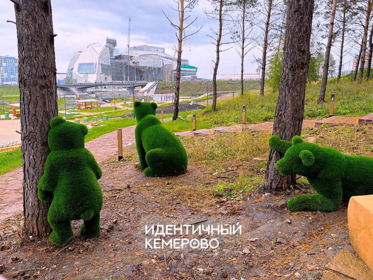 Медведи замечены прямо в центре Кемерова! 😨