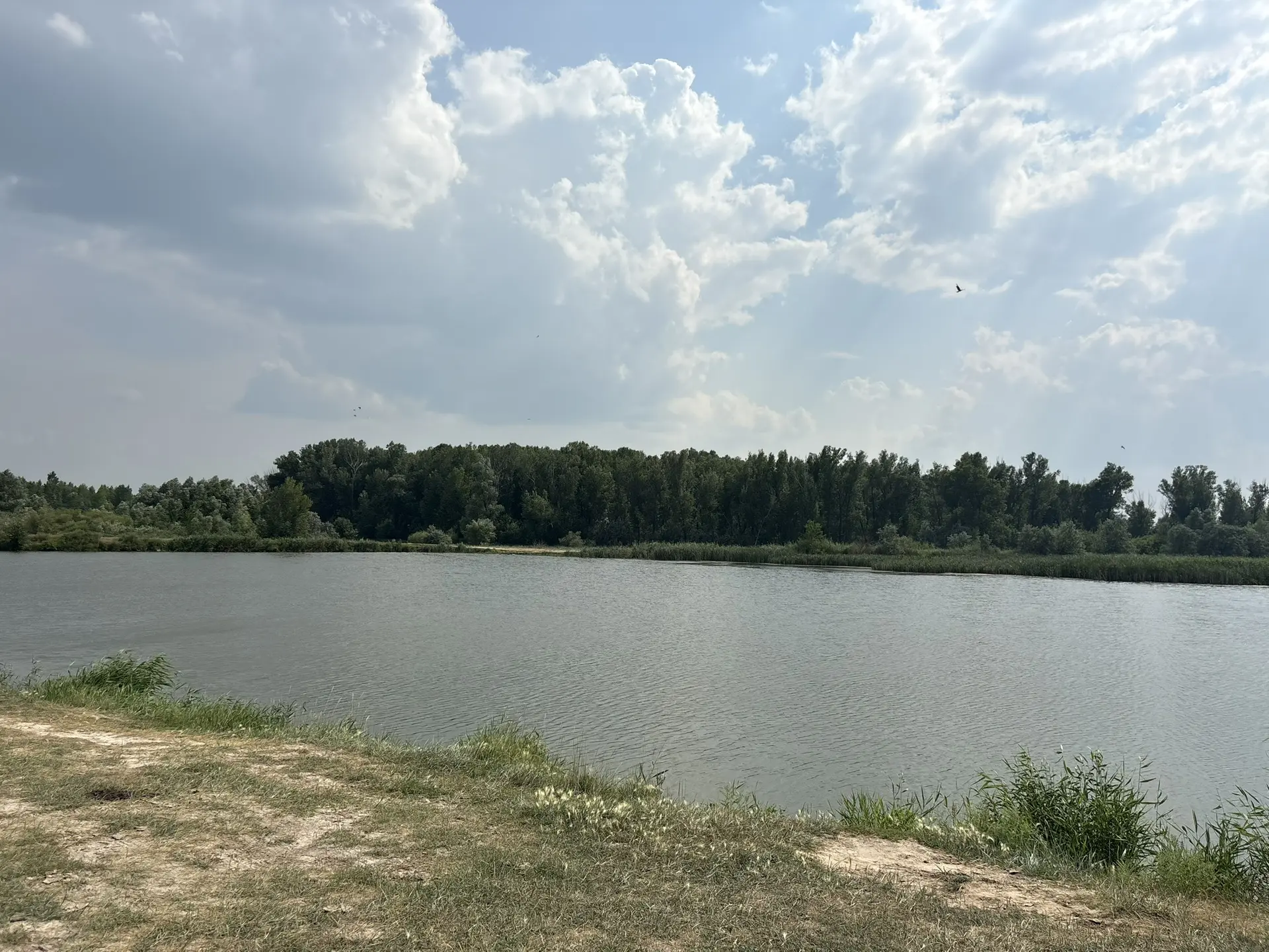 ☀️ Родительский патруль на страже безопасности!

Лето в самом разгаре, жара стоит нешуточная, и всех